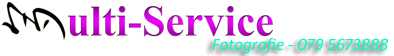 Multi-Service logo
