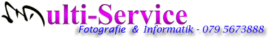 Multi-Service logo